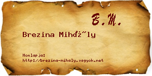 Brezina Mihály névjegykártya